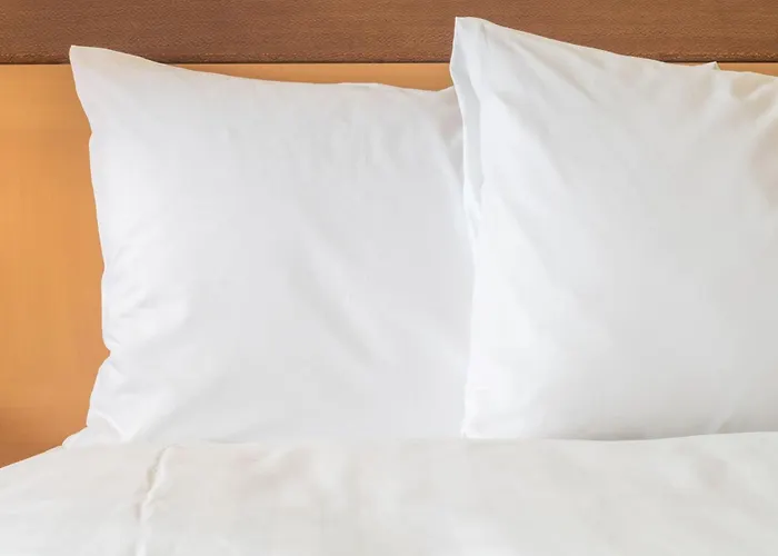 Intercontinental Le Grand By Ihg 5* Bordeaux